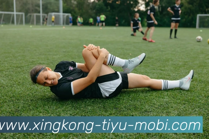 星空体育APP 封面图